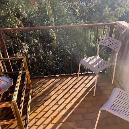 Tatil Evi Brevi Periodi 